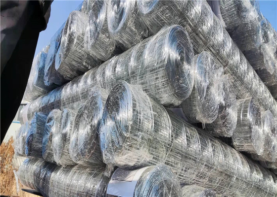 Animal Farms 1x1 25x25mm Galvanised Welded Wire Mesh